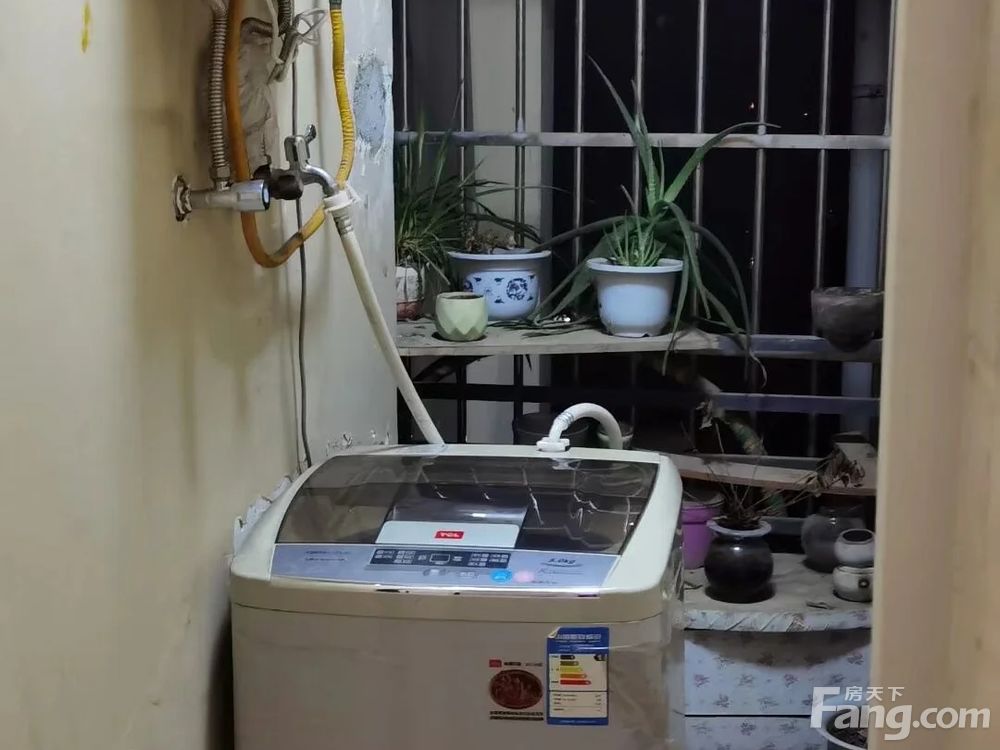室内图