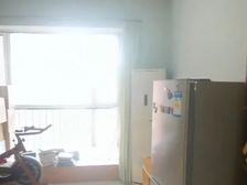 津南 红磡领世郡常春藤 1室1厅