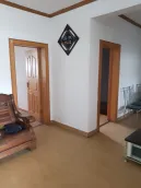 ����ƺС��