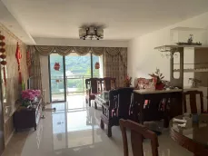 ����Ȫ����