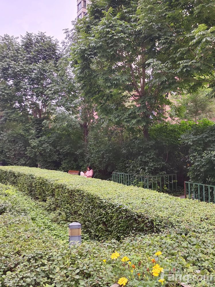 小区相关图