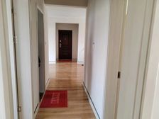 市中 绿地新都会 3室2厅