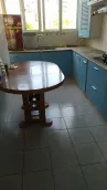 ��Ҷ��԰��԰