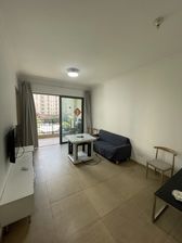 碧桂园精装修3房,满二无税,洋房好楼层!业主本人出售