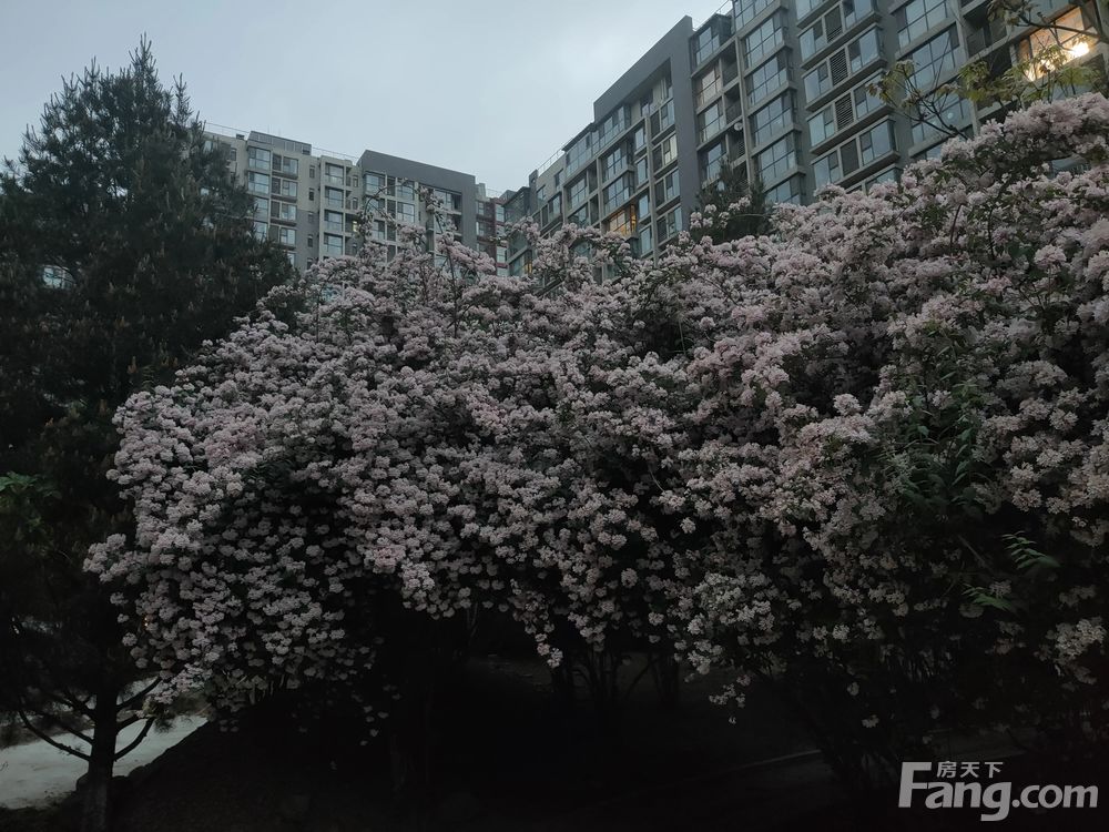 小区相关图