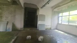 ������¥