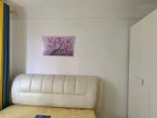 ����Է
