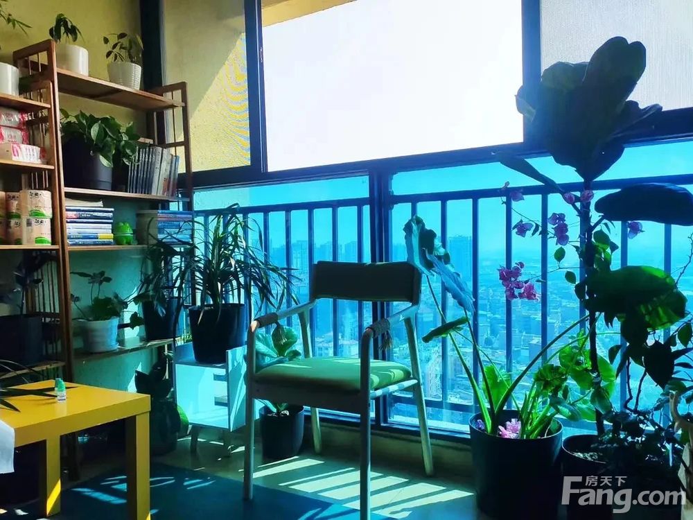 室内图