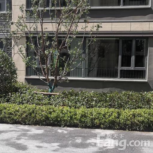  ��īͨ���������Ƽ�119.54ƽ���� 3��2��2�� 