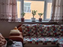 元宝山区 向阳新村 3室1厅