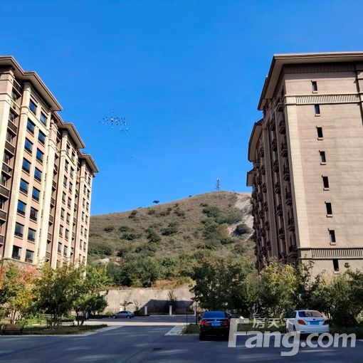  �������һ�Դ 3��1�� 82.58�O 1500Ԫ/�� 