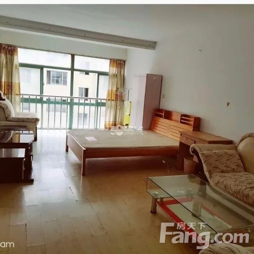  ����:���ԻƵ���ɽ������������B ������� 