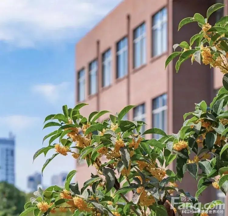 出售斗门区富山工业园佳乐购物中心公寓