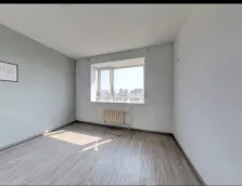 �����ž�