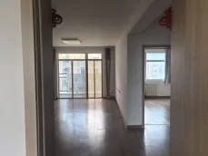��ơ����Է