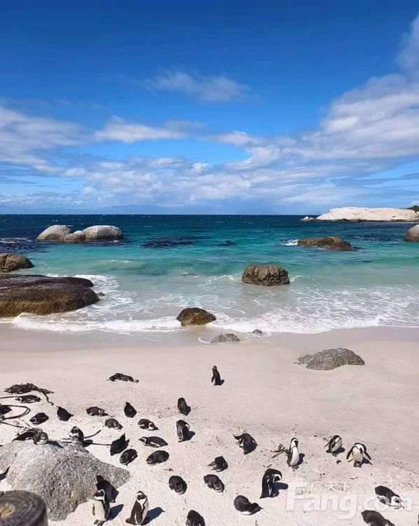 出售虎山商业广场商住楼公寓