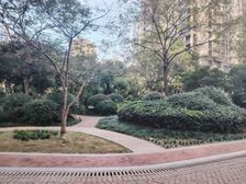 惊爆价顶琇国际城 3室豪华装修