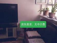 州一中州一小老市政府家属院 2室1厅