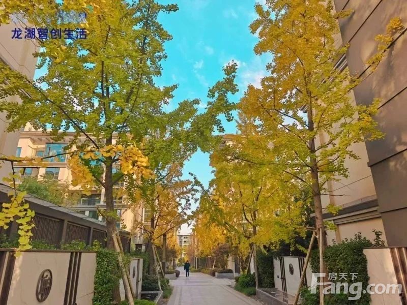 小区相关图
