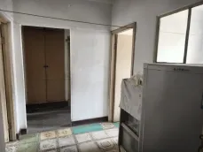 ǰ�������
