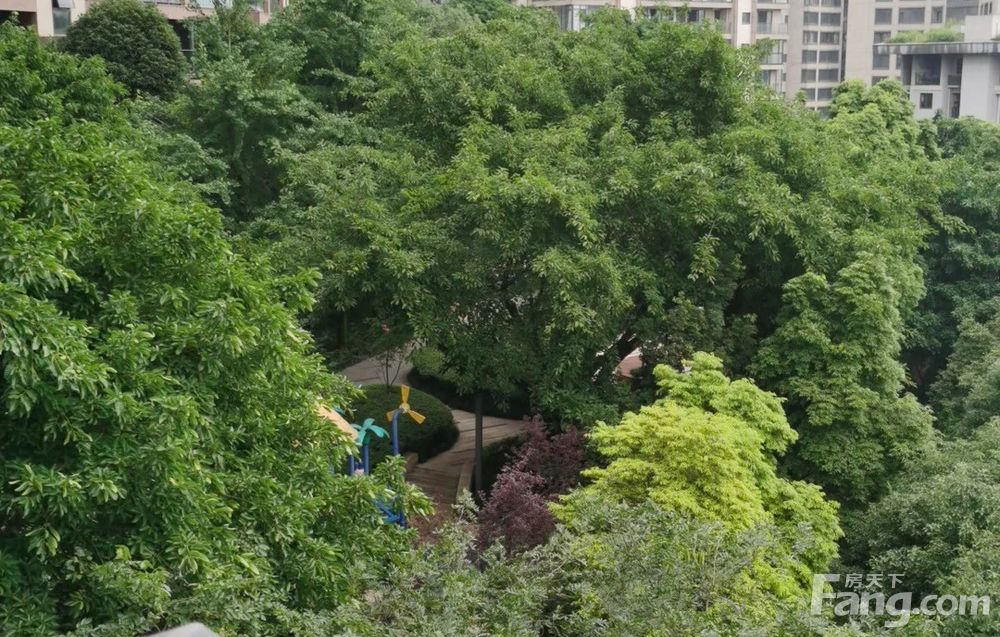 龙湖春森彼岸小区租房,三室两厅, 江北北滨路龙湖春森彼岸 3室2厅 160