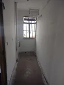 ����С��(����)