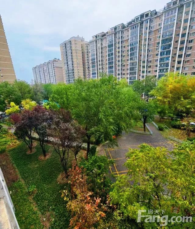 小区相关图
