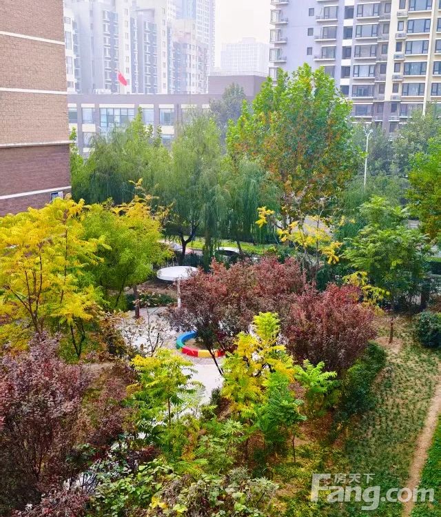 小区相关图