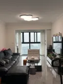 ���㳡������