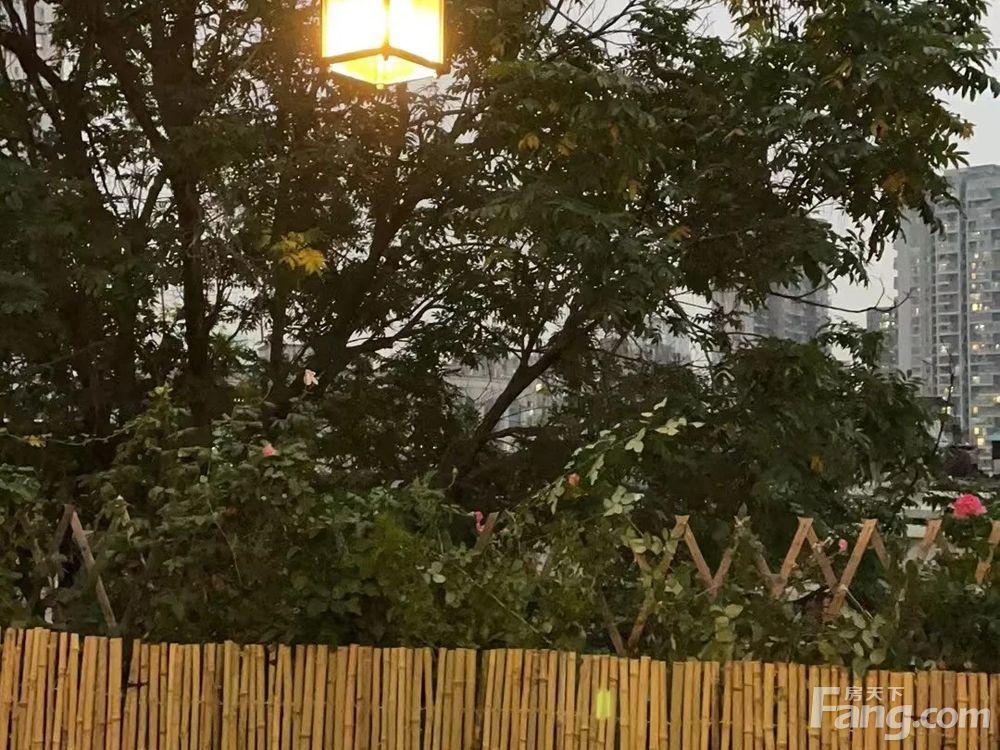 小区相关图