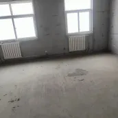 Ⱥ������