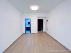 ���ӡ��