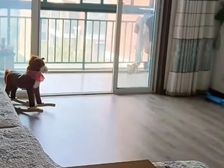 巢湖 凤凰名城 3室2厅