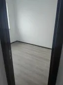 ��̩̩�͸�
