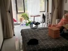 沈河 沈工科技园 1室1厅