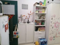 ������԰