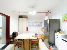 ��ͤ����