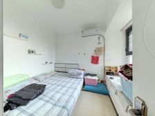 泰宏建业11号楼小三房满五**南北通送家具家电