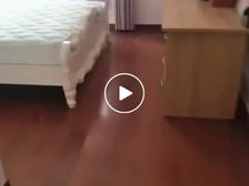 港闸 万科金域蓝湾 3室1厅