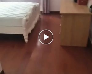 港闸 万科金域蓝湾 3室1厅