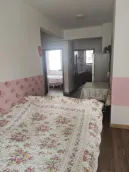 ���Ͻ���