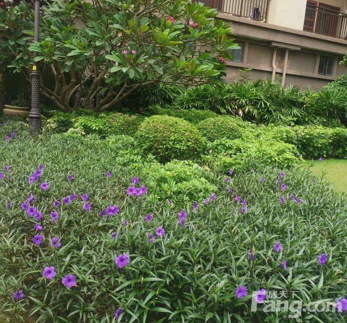 房源图片