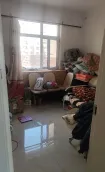 ������Է