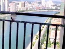 武江上游一线江景房 山景 奥园小区 4室2厅 毛坯