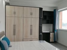 高新区 龙门天玺 1室1厅