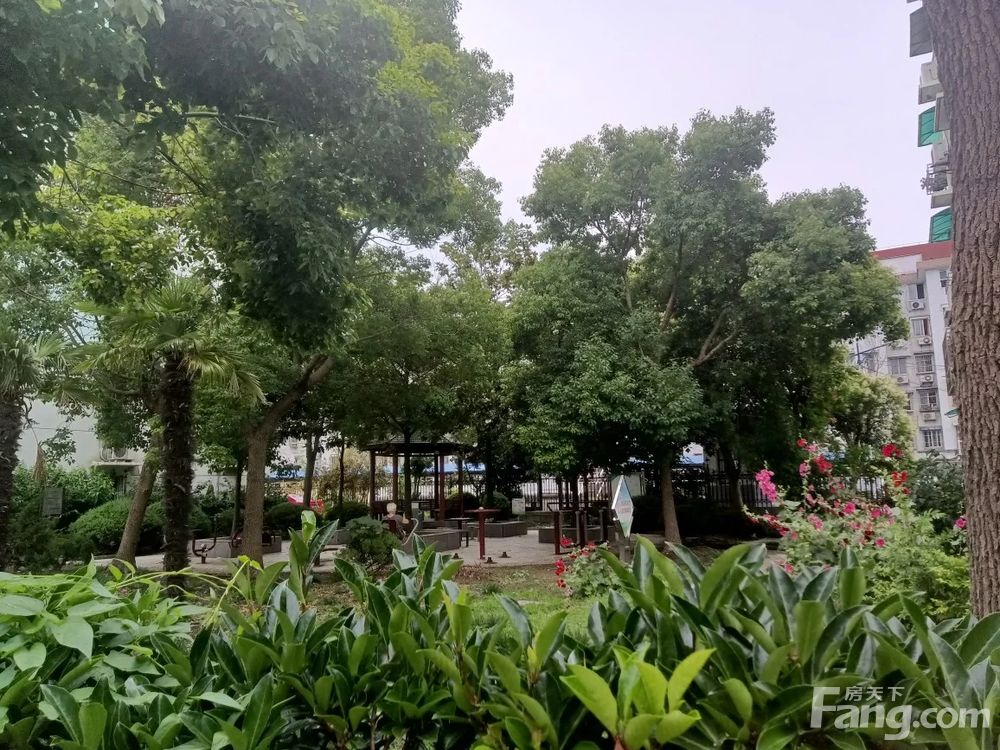 小区相关图