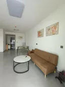 ʢ������