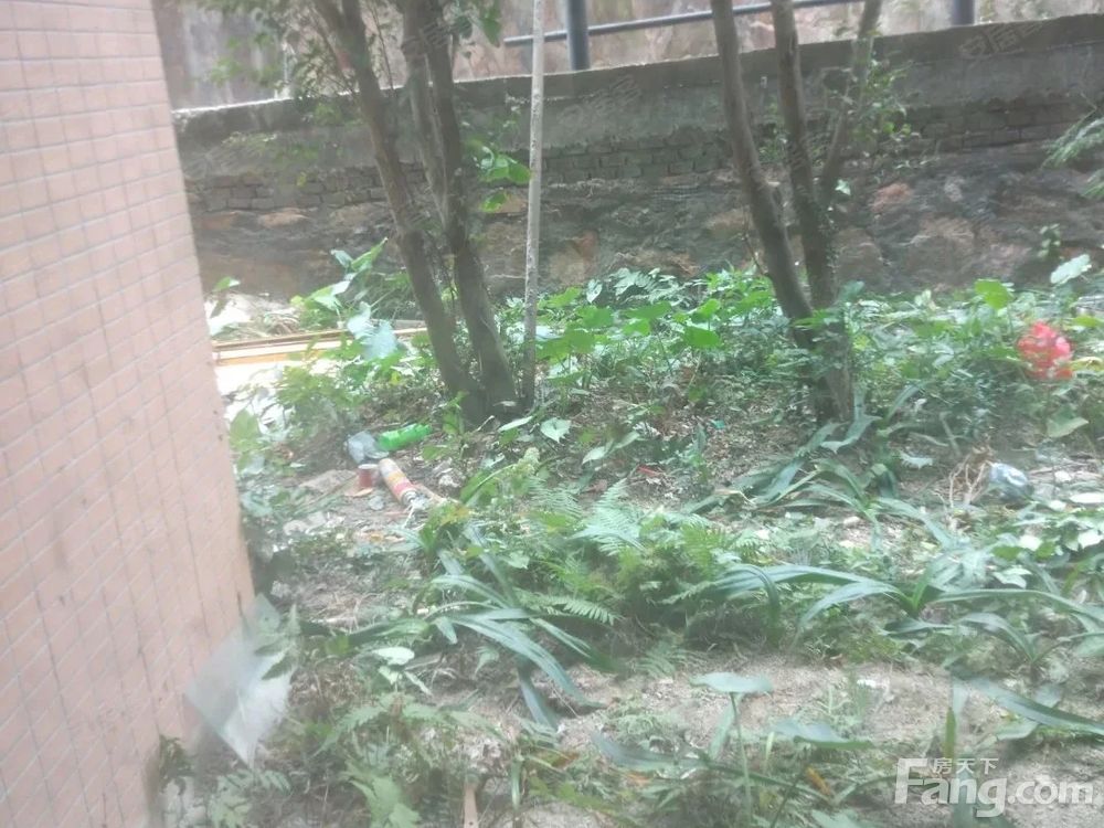 室内图