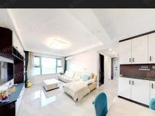 经开 华润紫云府 3室2厅