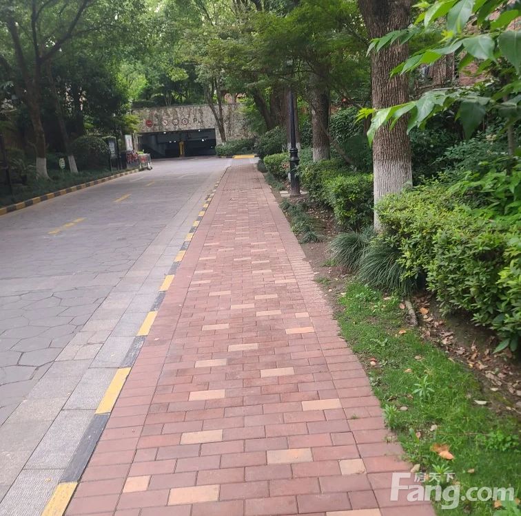 小区相关图